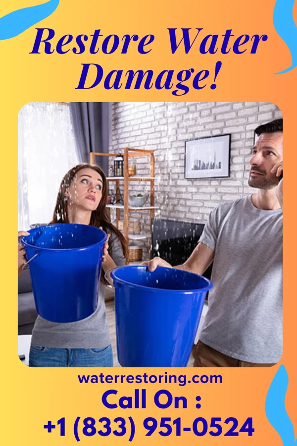 water restoration Zenith Sewage Cleanup Professionals Seama