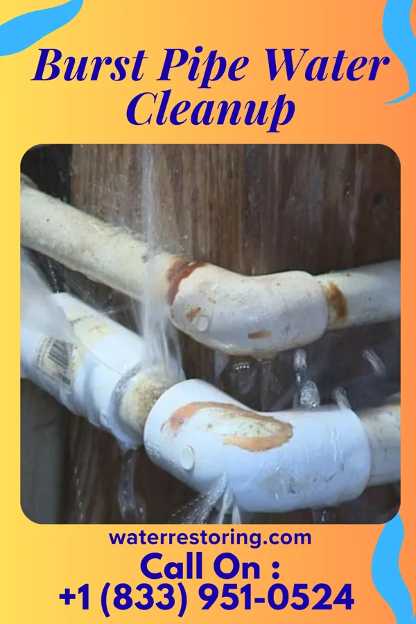 Burst Pipe Water Cleanup in Seama, NM
